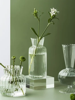 Skaidraus stiklo vaza Namų Hydroponic vaza Šiaurės stiliaus Dekoratyvinės Vazos, Modernus stalo ornamentas Vaza Namų Puošybai Moderni apdaila