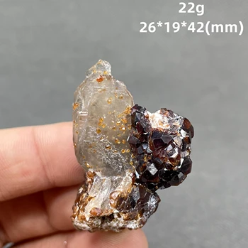 NAUJAS! 100% natūralus retas granatas ir arbata kristalų simbiotinius mineralinių egzempliorių akmenys ir kristalai kvarco kristalai